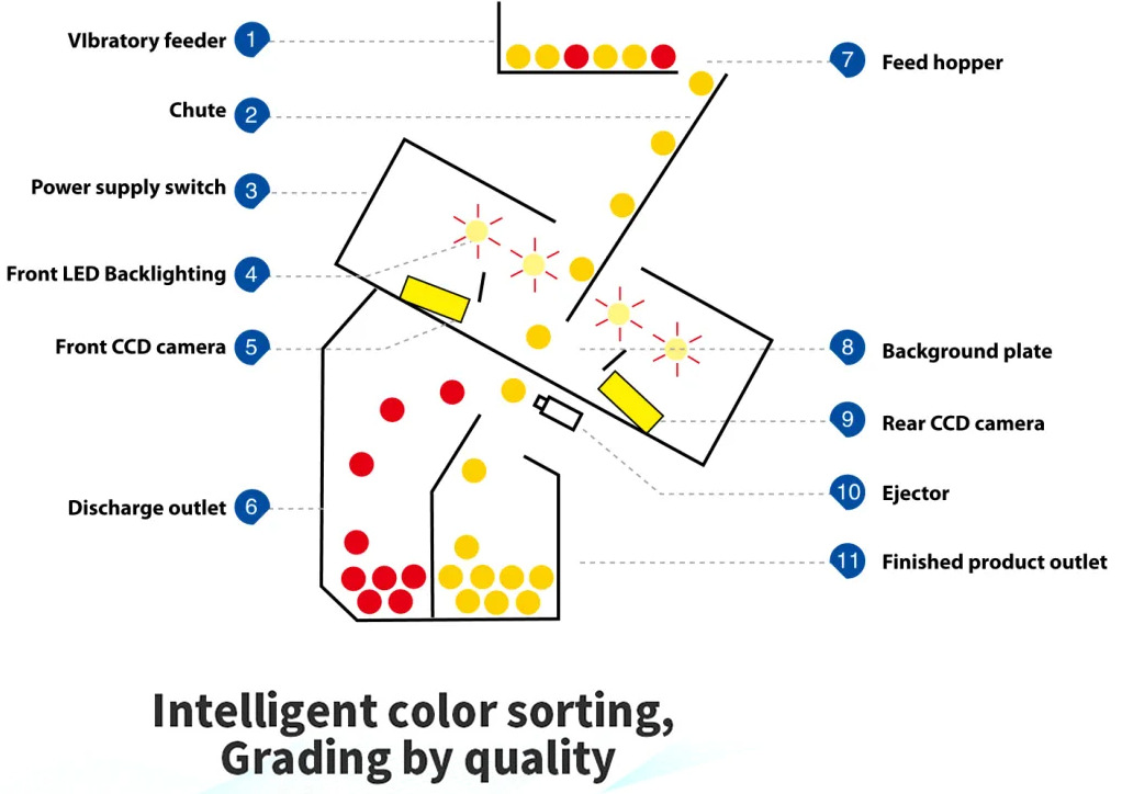 color sorter machine 