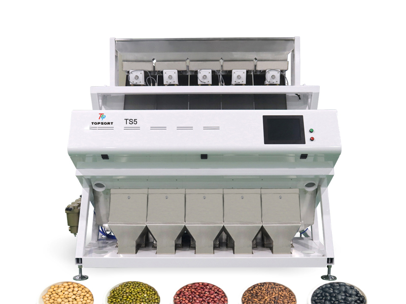 vision color sorter