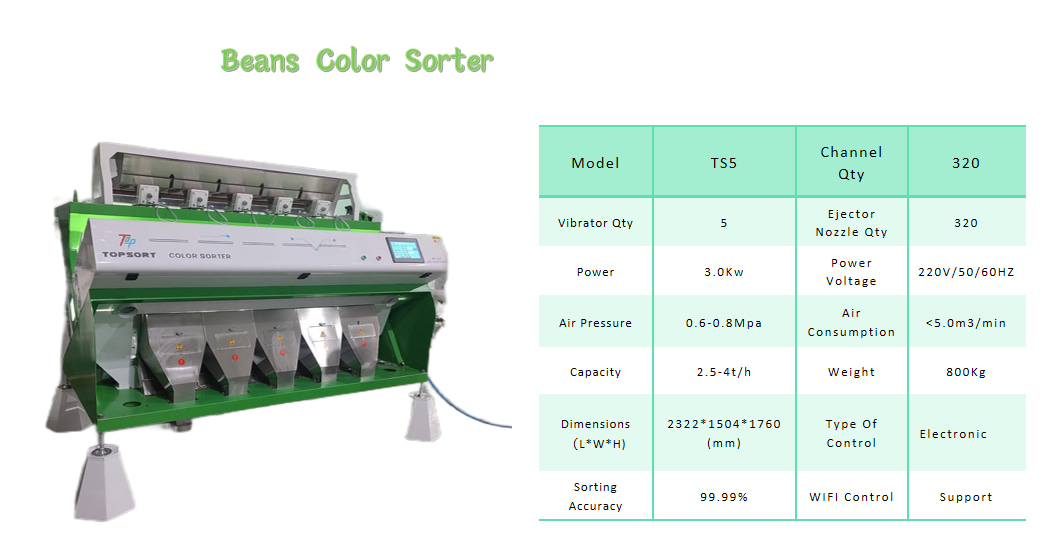 color sorter technology