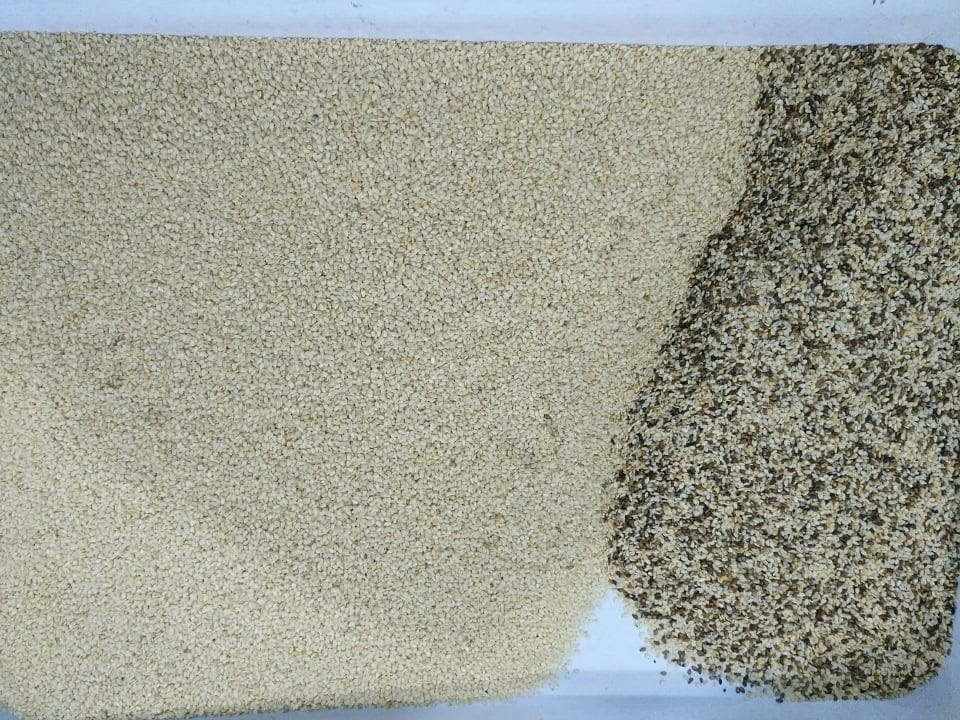 sesame colour sorter