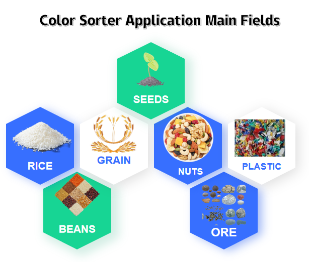 color sorter application