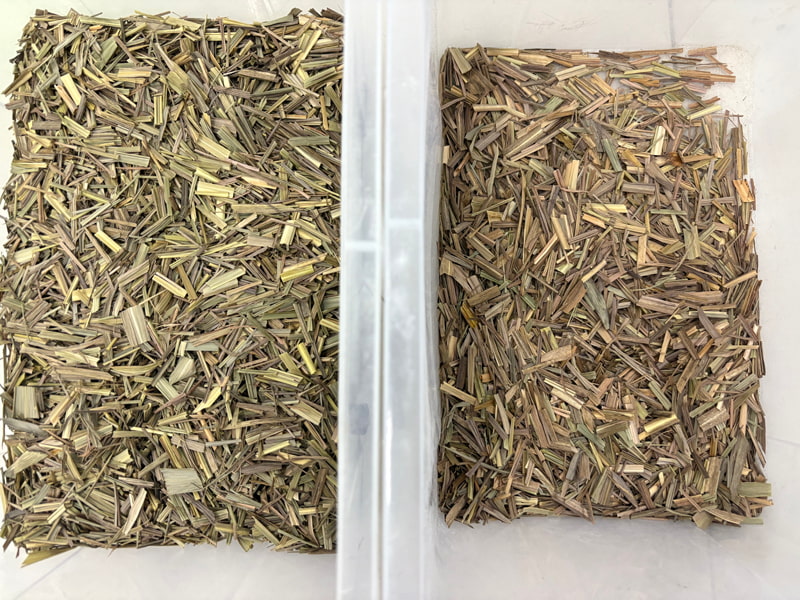 Машина для сортировки лемонграсса по цвету TOPSORT с дистанционным управлением