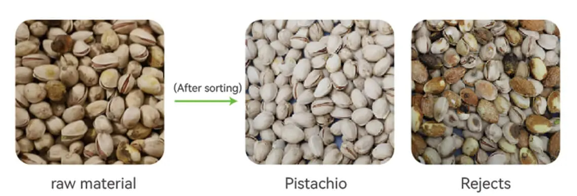 pistachio color sorter