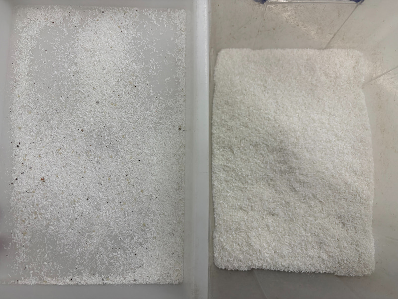 TOPSORT high accuracy coconut flakes AI color sorter