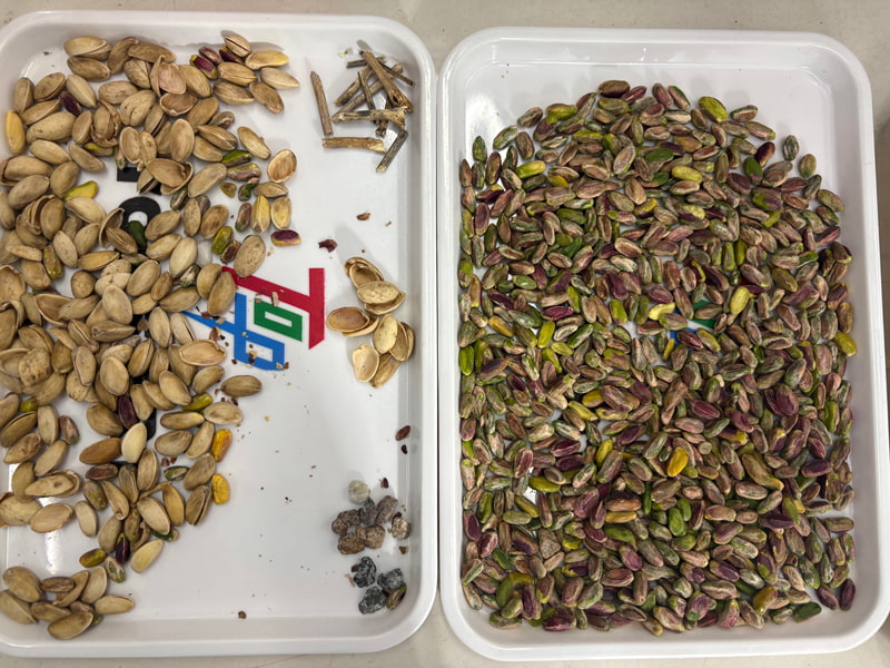 TOPSORT pistachio AI color sorter with latest deep learning algorithms